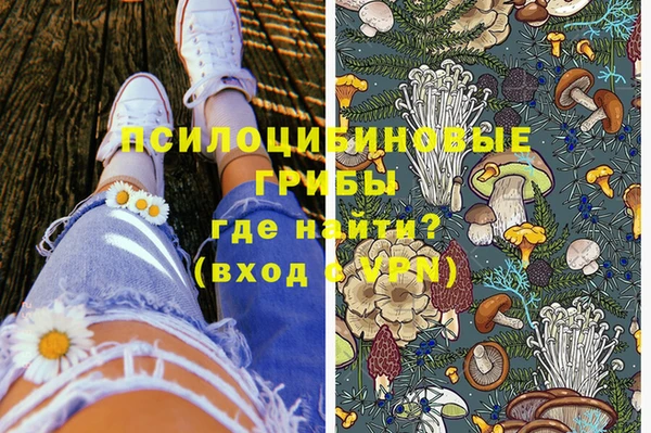 а пвп мука Алзамай