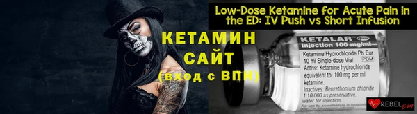 крисы Алексин